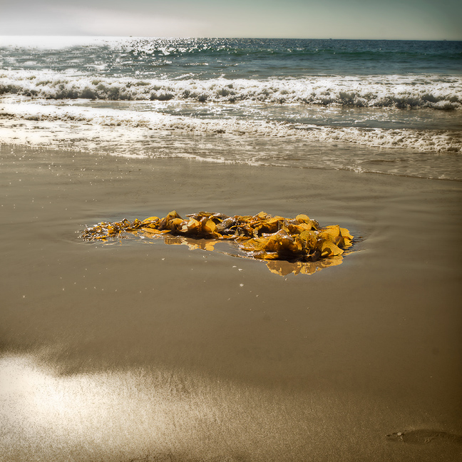 Environments: Sea, Sand & Sky